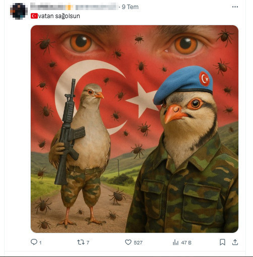 Kekliklerin kene yediği iddiası gerçek mi? - Resim : 1