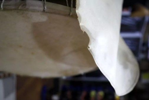 Dükkana akın etmelerinin sebebi ortaya çıktı! 200 TL'ye alıp 20 milyon liraya satıyorlar! İlanlar doldu taştı - Resim: 5