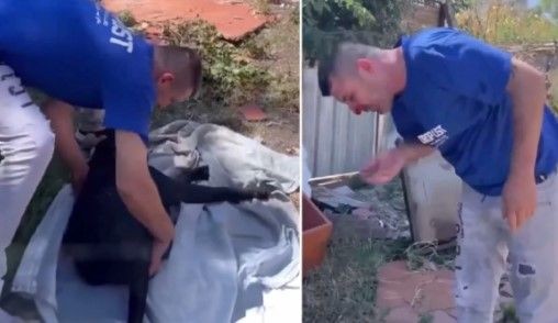 Yaralı köpeği beslerken saldırısına uğradı! Doktorun sözlerine rağmen tek derdi bakın ne oldu - Resim: 2