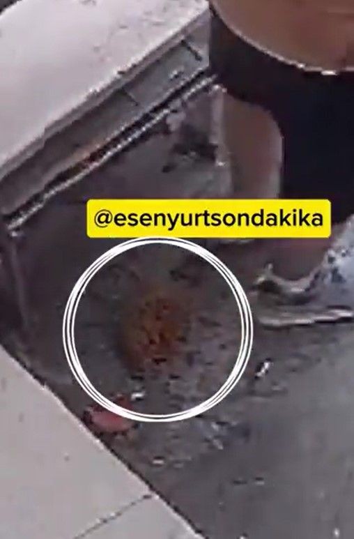 Esenyurt'ta mide bulandıran görüntü! Cadde ortasında kıyafetini indirip tuvaletini yaptı - Resim: 6