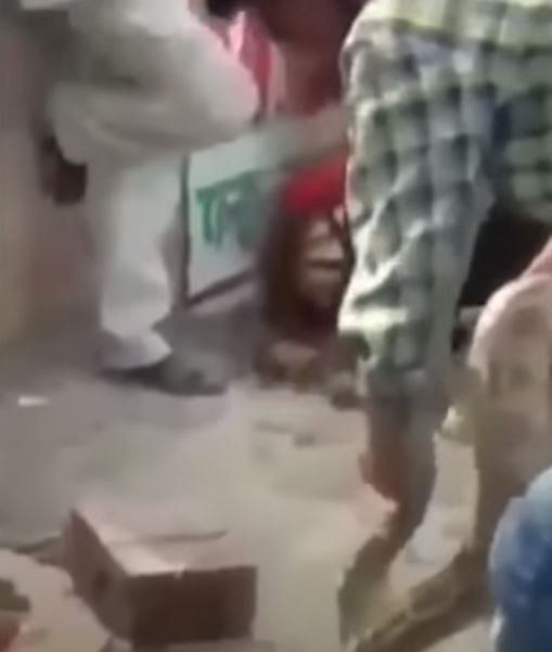 Piton herkesin gözü önünde boğdu! Gösteri zannediyorlardı ama gerçek çok farklı çıktı - Resim: 7