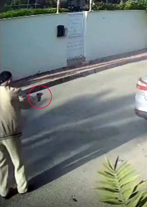 Havladığı gerekçesiyle köpeği vurup öldürmüştü! Emekli polis hakkında 'yakalama' emri - Resim : 2