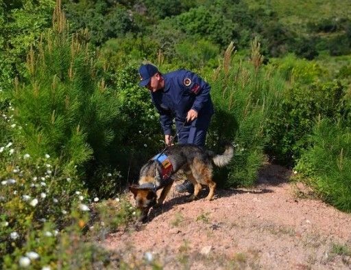 Korhan Berzeg'in ölümünde sır perdesi aralanıyor! Hayvan mı saldırdı, cinayet mi? - Resim: 5