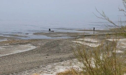 Rojin'i arama çalışmaları devam ediyor: Kadavra köpekleri tepki verdi - Resim: 2