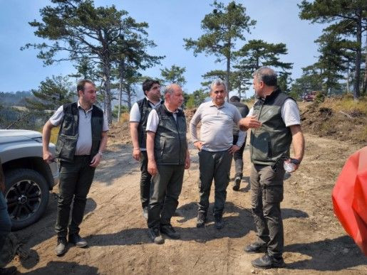 Ciğerlerimizi yakan 11 kişiden 5'i tutuklandı - Resim: 8