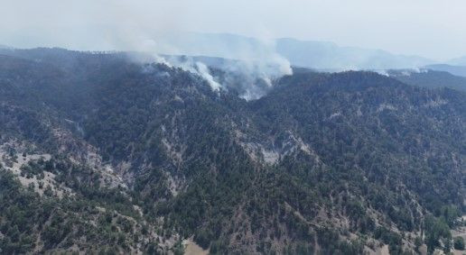 Ciğerlerimizi yakan 11 kişiden 5'i tutuklandı - Resim: 12