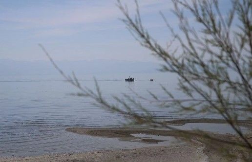 Rojin'i arama çalışmaları devam ediyor: Kadavra köpekleri tepki verdi - Resim: 4