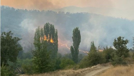 Ciğerlerimizi yakan 11 kişiden 5'i tutuklandı - Resim: 2