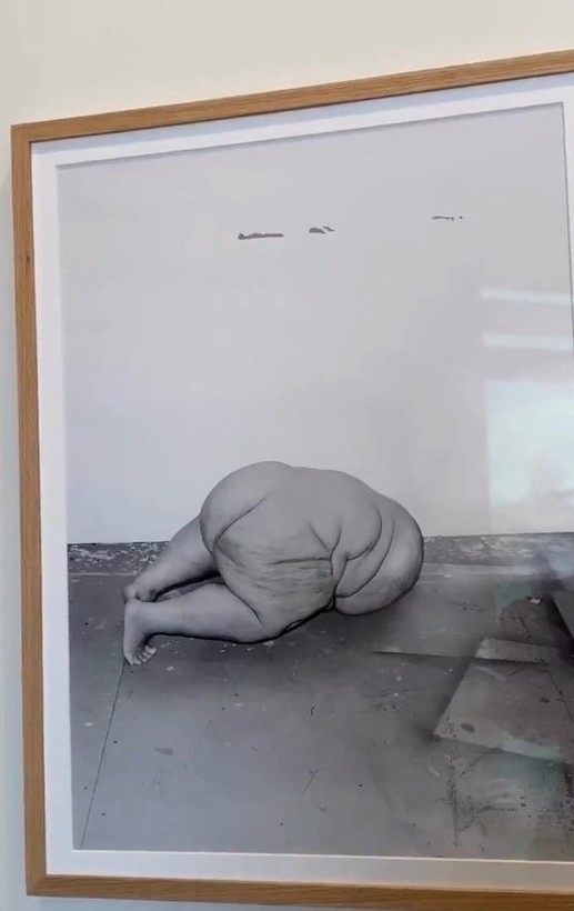 Odunpazarı Modern Sanat Müzesi'nde sapkınlığa sanat kılıfı! Ayşe Fatma'yı değil Ali Ayşe'yi seviyor... - Resim: 8
