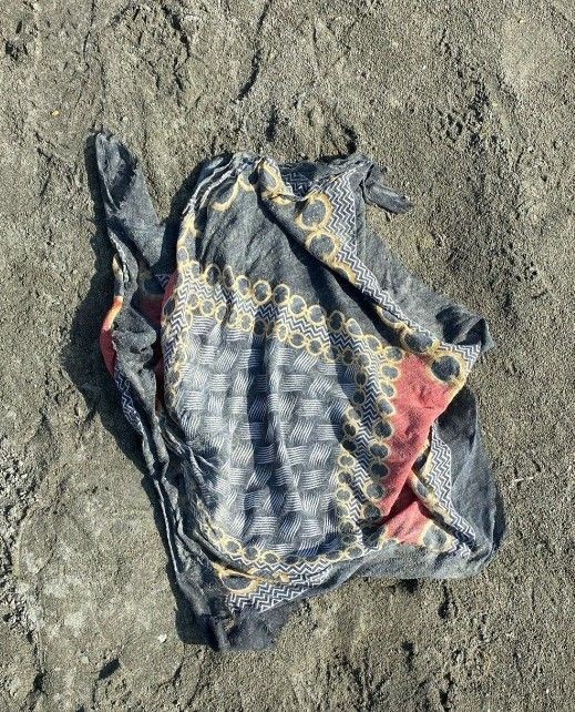 Rojin'i arama çalışmaları devam ediyor: Kadavra köpekleri tepki verdi - Resim: 3