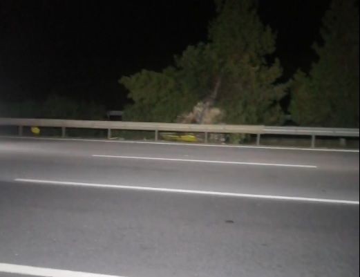 Kahramanmaraş depreminden kurtulan aile Mersin'deki yakınlarına gitmek isterken kaza yaptı: 2 ölü, 3 yaralı - Resim: 1