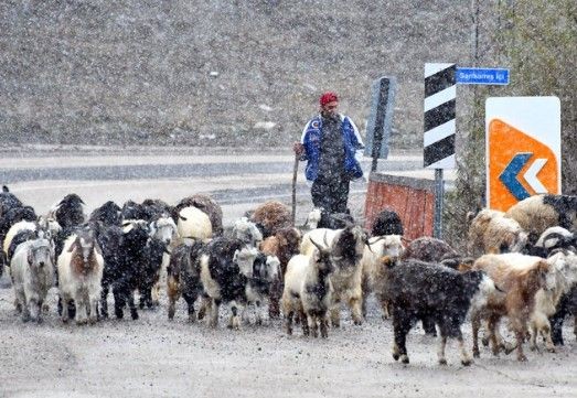 Doğu'ya kış tipiyle geldi! İşte huzur veren kar görüntüleri... - Resim: 21