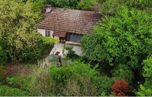 Korhan Berzeg'in ölümünde sır perdesi aralanıyor! Hayvan mı saldırdı, cinayet mi? - Resim: 9