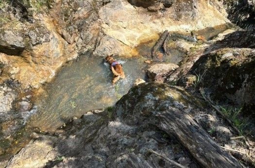 Korhan Berzeg'in ölümünde sır perdesi aralanıyor! Hayvan mı saldırdı, cinayet mi? - Resim: 6