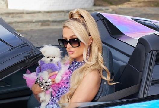 Paris Hilton, itiraflarıyla duyanları şoke etti! - Resim: 10
