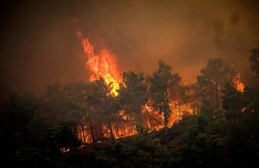 Rodos kül oldu! Orman yangını 7. gününde! 'Durum daha kötüleşebilir' - Resim: 63