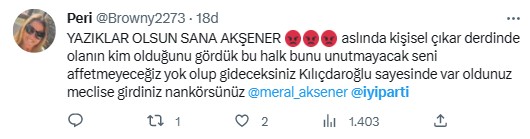 İYİ Parti Genel Başkanı Meral Akşener'in Genel İdare Kurulu ile yaptığı toplantının sona ermesinin ardından sosyal medyadan gelen tepkiler çığ gibi büyüyor! - Resim: 16