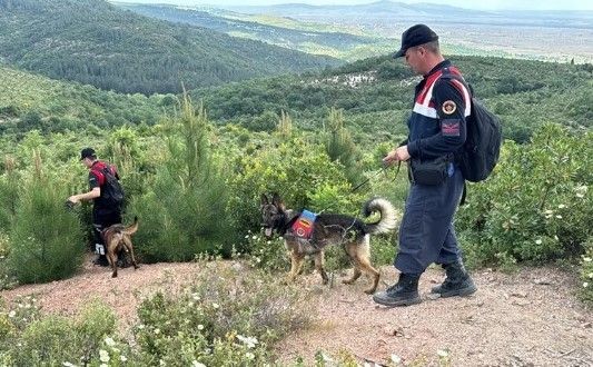 Korhan Berzeg'in sır ölümü! Ekipler bir noktada takıldı - Resim: 15