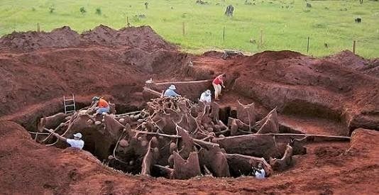 Karınca yuvasının içi ilk kez görüntülendi! 3 gün beton döktüler, otoban, bahçe ve binden fazla oda buldular - Resim: 31