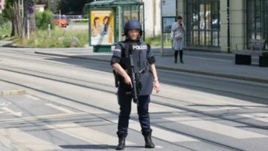 Avusturya'da okula silahlı saldırı: En az 8 ölü! - Resim: 3