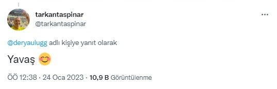 Şarkıcı Derya Uluğ, sarı lacivertli Arao'ya yaptığı yorumla Fenerbahçe taraftarının tepkisini çekti - Resim: 10