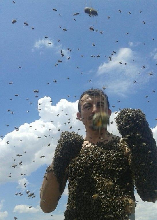 Bir garip hobi! Arıcının yaptıklarının gören şaşıp kalıyor - Resim: 4