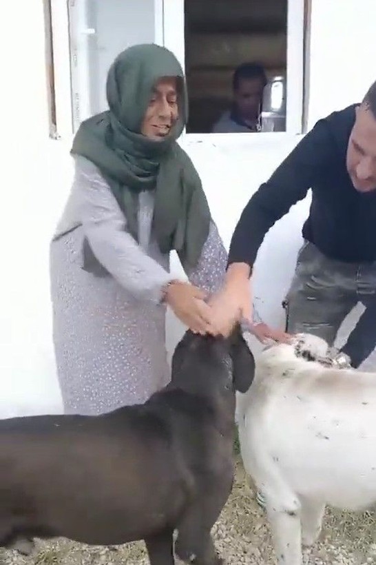 Yöresel kıyafet giydi başını kapattı, köy havası alan Yıldız Tilbe'yi görenler tanıyamadı - Resim: 7
