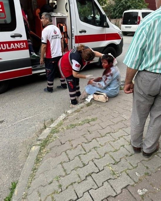 Ataşehir ve Bursa'da köpek vahşeti! - Resim: 3