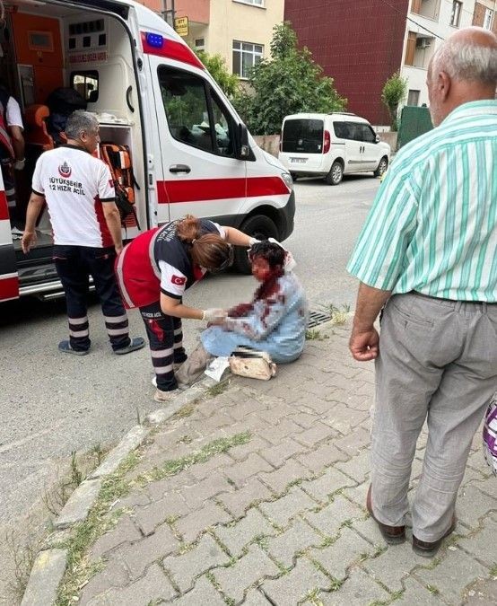 Ataşehir ve Bursa'da köpek vahşeti! - Resim: 4