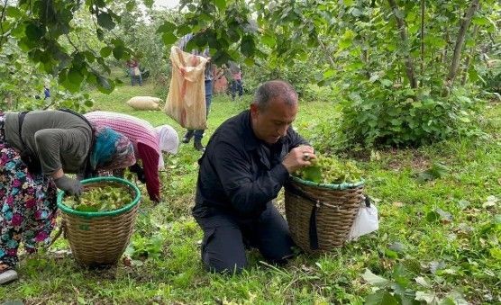 Fındık üreticileri dikkat! Ordu'da fındık işçi yevmiyesi ve diğer ücretler belli oldu - Resim: 2