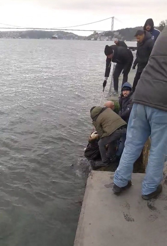 Emirgan Sahili'nde yürüyüş yapan görme engelli çift merdiven boşluğunu fark edemedi: Denize düştüler! - Resim: 2