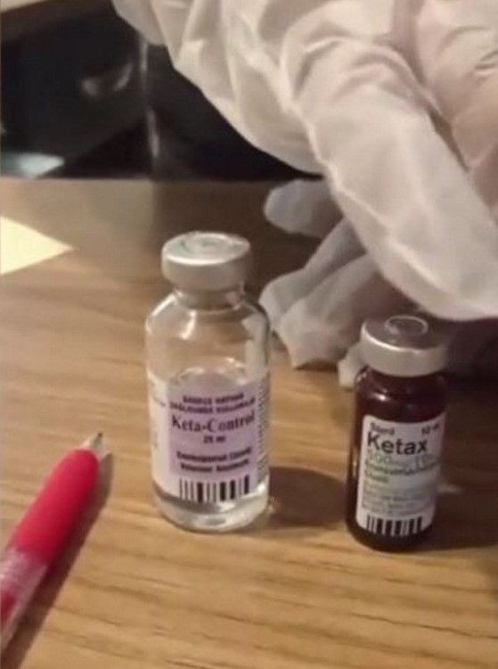 FETÖ'cü psikiyatrist Prof. Dr. Süleyman Salih Zoroğlu skandalı! Örgüte üye çekmek için çocuklara kabusu yaşattı: Tuvalette kendimi ısırdım - Resim: 14