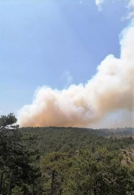 Bolu, Antalya, Denizli, Ankara ve Eskişehir’de orman yangını - Resim: 10