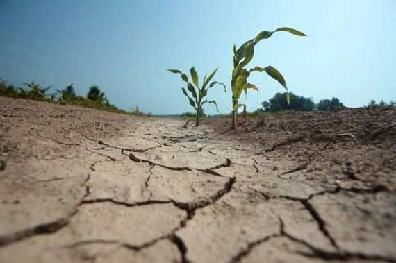 Mayıs sonunda kuraklık tehdidi başladı! Aman dikkat! 'El Nino' sıcakları yolda - Resim: 11