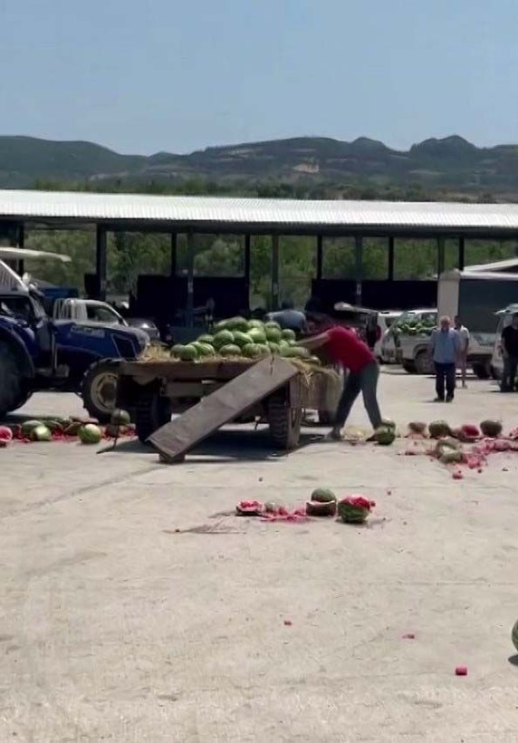 Karpuz parçalayan 2 üreticinin başı yandı! Fahiş ceza geliyor - Resim: 7