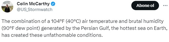Hava sıcaklığı 67 derece! Basra Körfezi insan ve hayvan yaşamı için tehlike saçıyor - Resim: 2