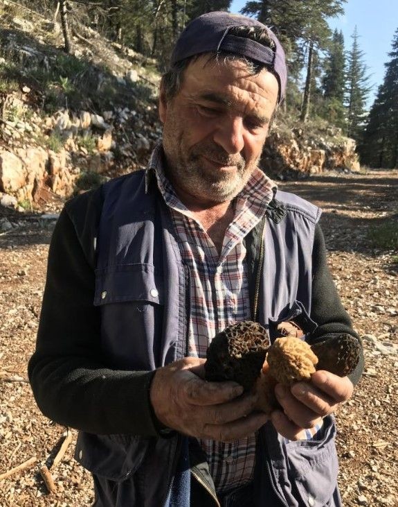 Gizli hazine keşfedildi! Yalnızca 40 gün yetişiyor! Kilosu 2 buçuk bin TL... - Resim: 4