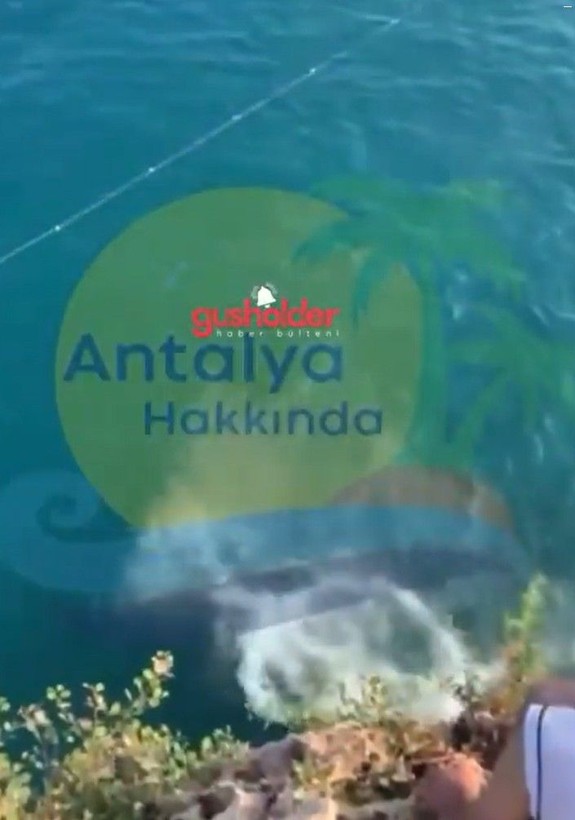 Antalya'da 18 yaşındaki çocuk falezlerden ölüme böyle atladı - Resim: 3