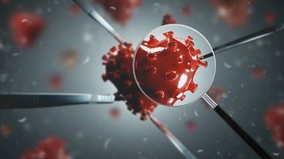 Kuş gribi mutasyona uğradı! İnsanlar için daha ölümcül ve daha bulaşıcı - Resim: 9