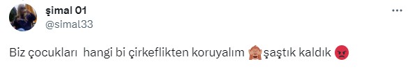 Dila Kent rezaleti! Çocuklara YouTube üzerinden ahlaksızlık aşılanıyor - Resim: 9