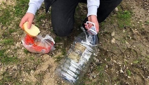 Milyonlarca kez izlenen ilginç balık tutma videosu viral oldu! Kolay balık tutmak için sadece 3 malzemeye ihtiyacınız var: Plastik şişe, ip ve kürdan... - Resim: 13