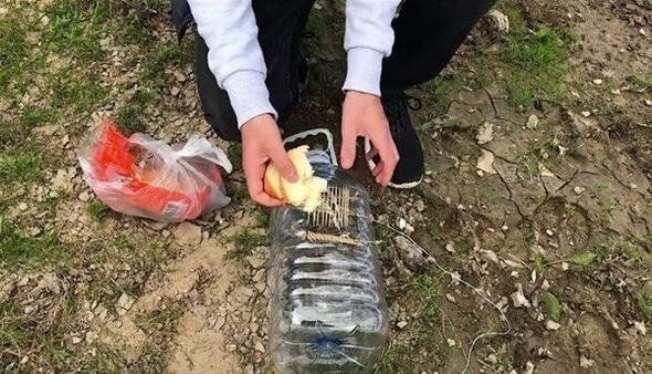 Milyonlarca kez izlenen ilginç balık tutma videosu viral oldu! Kolay balık tutmak için sadece 3 malzemeye ihtiyacınız var: Plastik şişe, ip ve kürdan... - Resim: 14