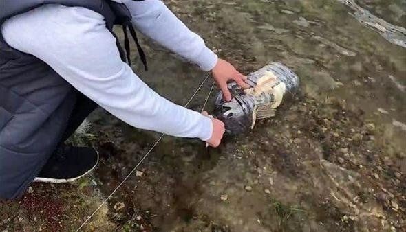 Milyonlarca kez izlenen ilginç balık tutma videosu viral oldu! Kolay balık tutmak için sadece 3 malzemeye ihtiyacınız var: Plastik şişe, ip ve kürdan... - Resim: 11