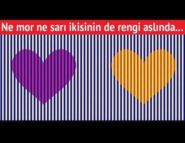 Dikkatli bakanlar şaşıp kalıyor! Bu testte hareket ettiğini görüyorsanız... - Resim: 8