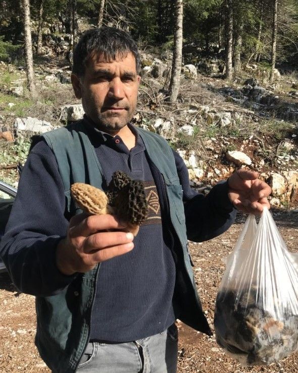 Gizli hazine keşfedildi! Yalnızca 40 gün yetişiyor! Kilosu 2 buçuk bin TL... - Resim: 5