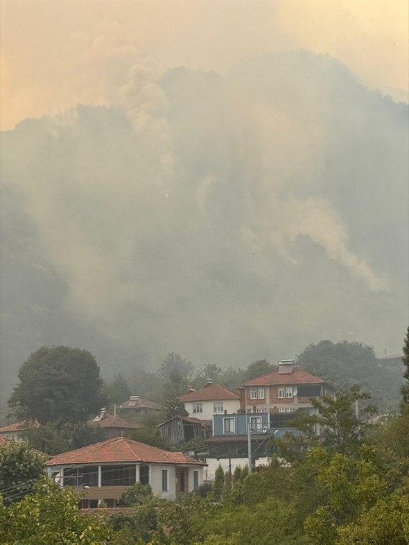 Sakarya Geyve’de bir orman yangını daha! Alevler karayoluna çok yaklaştı - Resim : 3