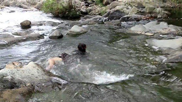 Eliyle yakaladığı balığın içinden bakın ne çıktı! - Resim: 10