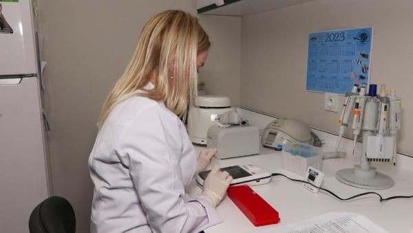 Küçükçekmece Gölü ile ilgili uzmanlardan endişe verici uyarı: Kesinlikle girilmemeli, hastalık kapılabilir - Resim: 7