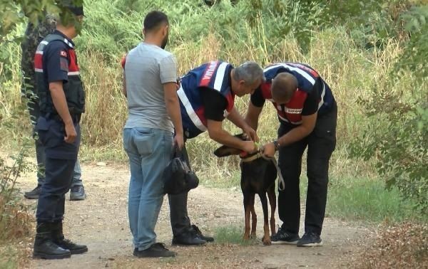 Son Dakika: Korhan Berzeg ile ilgili kahreden detay! Cesedini hayvanlar mı parçaladı - Resim: 6