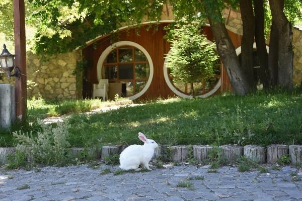 ABD'den Sivas'a uyarı! 'Gereğini yerine getirdik' - Resim: 5